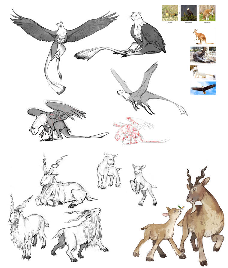 Animal/Creature Study Animal/Creature Study